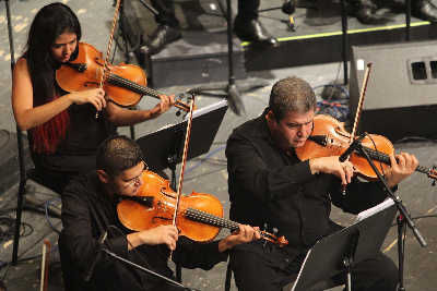 Viola players in an orchestra; rent violas here