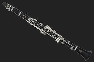 Yamaha YCL255 Clarinet Rental